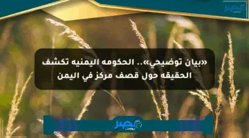 «بيان توضيحي».. الحكومة اليمنية تكشف الحقيقة حول قصف مركز في اليمن
